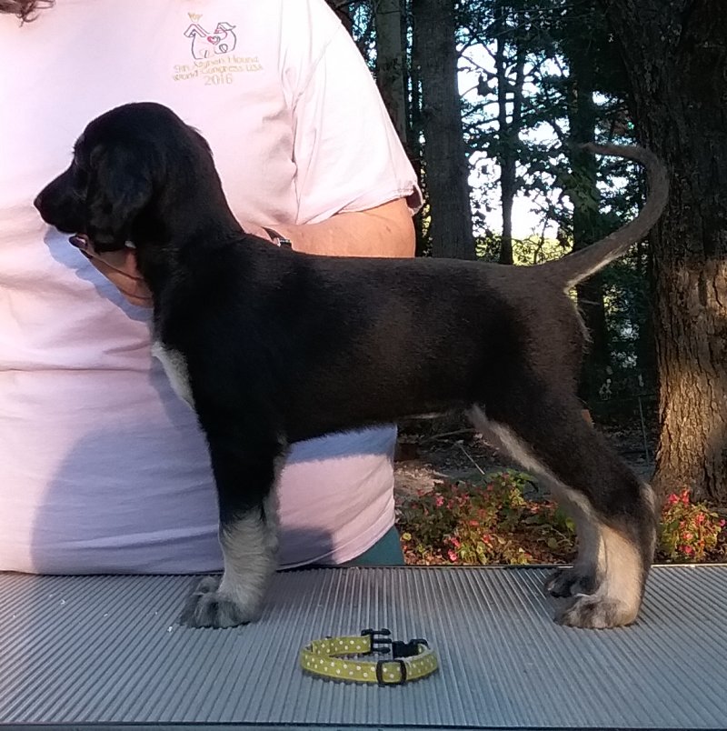 Yellow Girl 6 Weeks.jpg - 1884 K